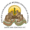 Logo Enlace Ciudadano de mujeres indígenas in yolotl