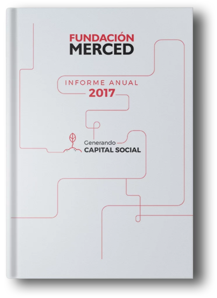 Informe anual 2017