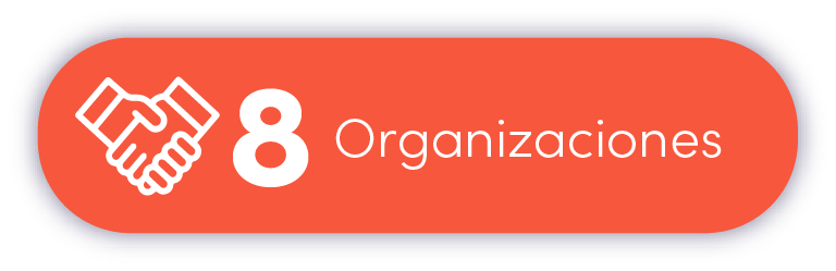 8 Organizaciones