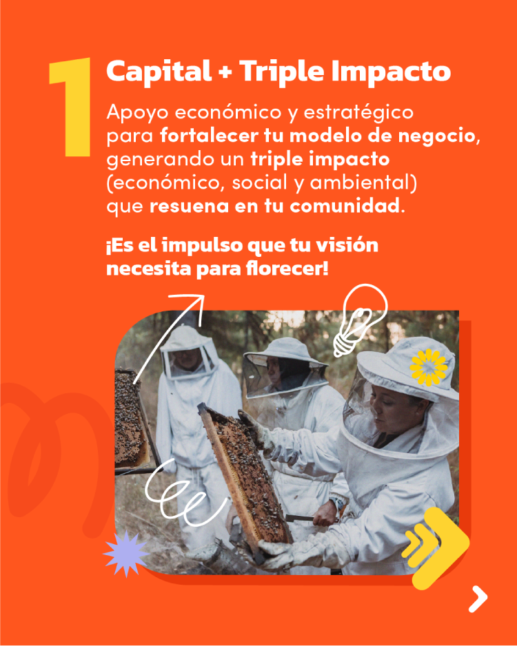 FMERCED_PORQUEPOSTULAR_IMPULSASOCIAL2025 (2)